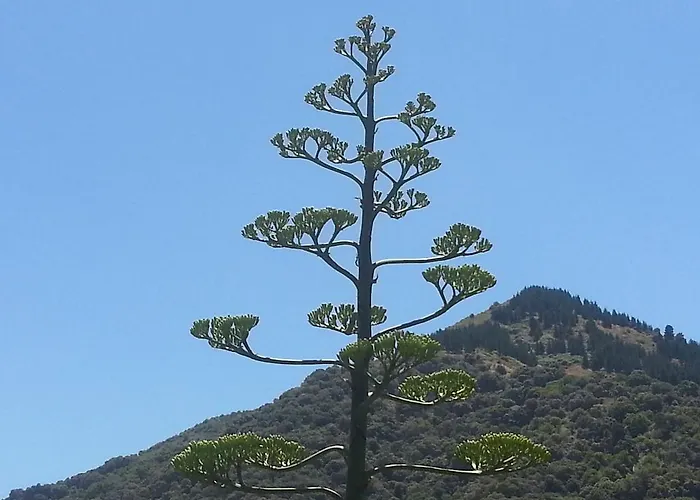 Casa Luna Hétvégi ház *